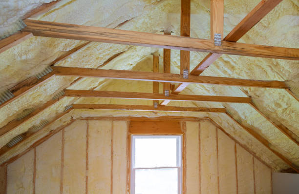 Best Specialized Insulation Services in Taunton, MA